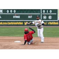 York Revolution shortstop Ryan Dent