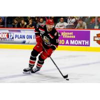 Grand Rapids Griffins defenseman Brian Lashoff