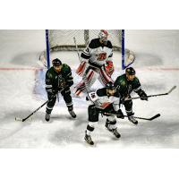 Utah Grizzlies vs. the Rapid City Rush