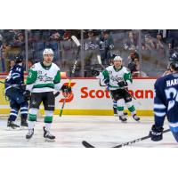 Texas Stars vs. the Manitoba Moose