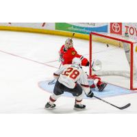 Zac Dalpe of the Cleveland Monsters scores against the Rockford IceHogs