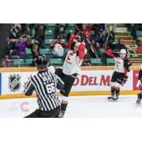 Prince George Cougars celebrate a goal