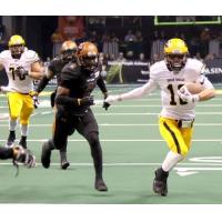 Tucson Sugar Skulls quarterback Matt Behrendt scoots into the end zone in the second quarter against the Arizona Rattlers