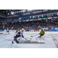 Niagara IceDogs vs. the North Bay Battalion