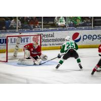 Denis Gurianov of the Texas Stars vs. the Rockford IceHogs