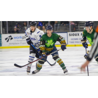 Sioux Falls Stampede center Brian Chambers vs. the Fargo Force