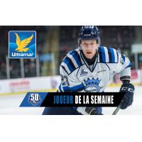 Vladislav Kotkov of the Chicoutimi Sagueneens