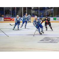 Tanner Nagel with the Swift Current Broncos