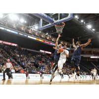 Halifax Hurricanes forward Mike Poole against the Island Storm