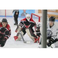 Aberdeen Wings goaltender Jake Sibell