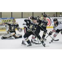 Wheeling Nailers defend against the Indy Fuel