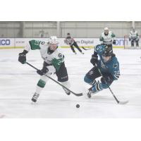 Texas Stars left wing Riley Tufte vs. the San Jose Barracuda