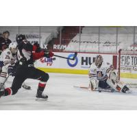 Brendan Boyle of the Prince George Cougars shoots vs. the Kamloops Blazers