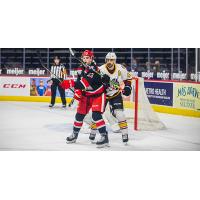 Grand Rapids Griffins center Dominic Turgeon (left) vs. the Chicago Wolves