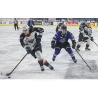 Vancouver Giants defenceman Jackob Gendron with the puck against the Victoria Royals