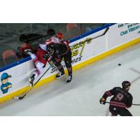 Spencer Asuchak gets checked into the boards against the Rapid City Rush