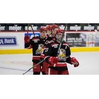 Grand Rapids Griffins line up after a win