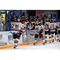 Aberdeen Wings along the bench
