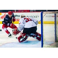 Les Lancaster of the Allen Americans shoots vs. the Rapid City Rush