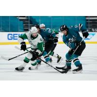 Texas Stars vs. the San Jose Barracuda