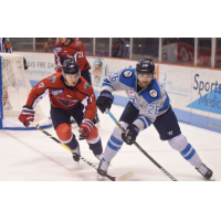 Jacksonville Icemen forward Pascal Aquin vs. the South Carolina Stingrays