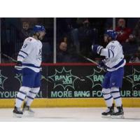 Wichita Thunder react after a goal
