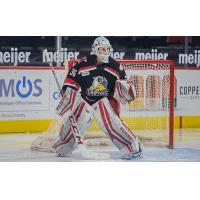 Grand Rapids Griffins goaltender Kaden Fulcher