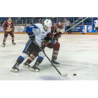 Saint John Sea Dogs battle the Acadie-Bathurst Titan