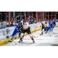Wichita Thunder battles the Kansas City Mavericks