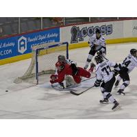 Les Lancaster of the Allen Americans barrels into the Utah Grizzlies goaltender