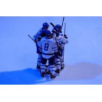 Wichita Thunder congregate after a goal