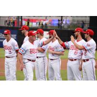 Chicago Dogs exchange high fives before a game