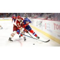 Moncton Wildcats vs. the Acadie-Bathurst Titan