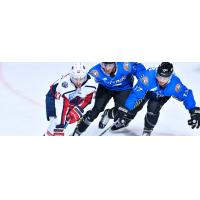 South Carolina Stingrays forward Tim Harrison (left) vs. the Orlando Solar Bears