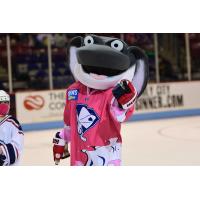 South Carolina Stingrays mascot Cool Ray