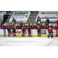 Vancouver Giants bench vs. the Prince George Cougars
