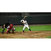 Tri-City Dust Devils catcher Franklin Torres at the plate