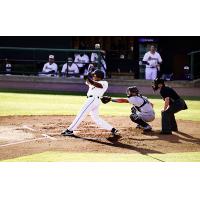 Charleston RiverDogs at the plate