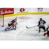 Prince George Cougars goaltender Taylor Gauthier awaits a shot vs. the Kelowna Rockets