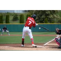 Jack Reinheimer of the Tacoma Rainiers takes a swing