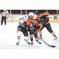 Cam York and the Lehigh Valley Phantoms vs. the Hershey Bears