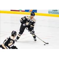 Patrick Watling of the Wheeling Nailers