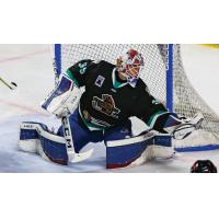 Utah Grizzlies goaltender Parker Gahagen