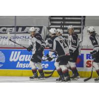 Vancouver Giants celebrate Marko Stacha's goal vs. the Victoria Royals