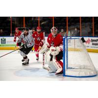 Allen Americans goaltender Jake Paterson vs. the Kansas City Mavericks