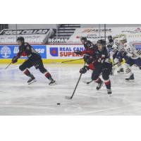 Prince George Cougars defenceman Keaton Dowhaniuk vs. the Kamloops Blazers