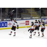 Kelowna Rockets celebrate against the Victoria Royals