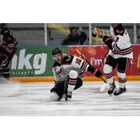 Aberdeen Wings forward Natan Vertes