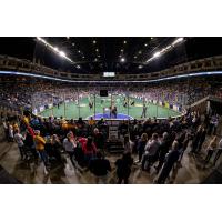 The crowd enjoys a Georgia Swarm game at Infinite Energy Arena