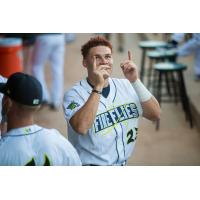 Columbia Fireflies outfielder Darryl Collins
